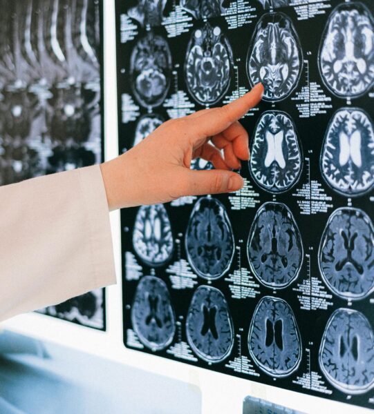 Diagnostic program & conservation treatment (2)