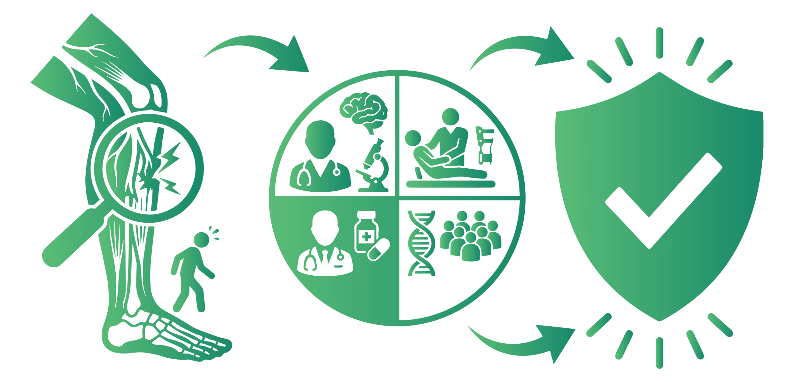 Comprehensive Guide to Charcot-Marie-Tooth (CMT) Disease