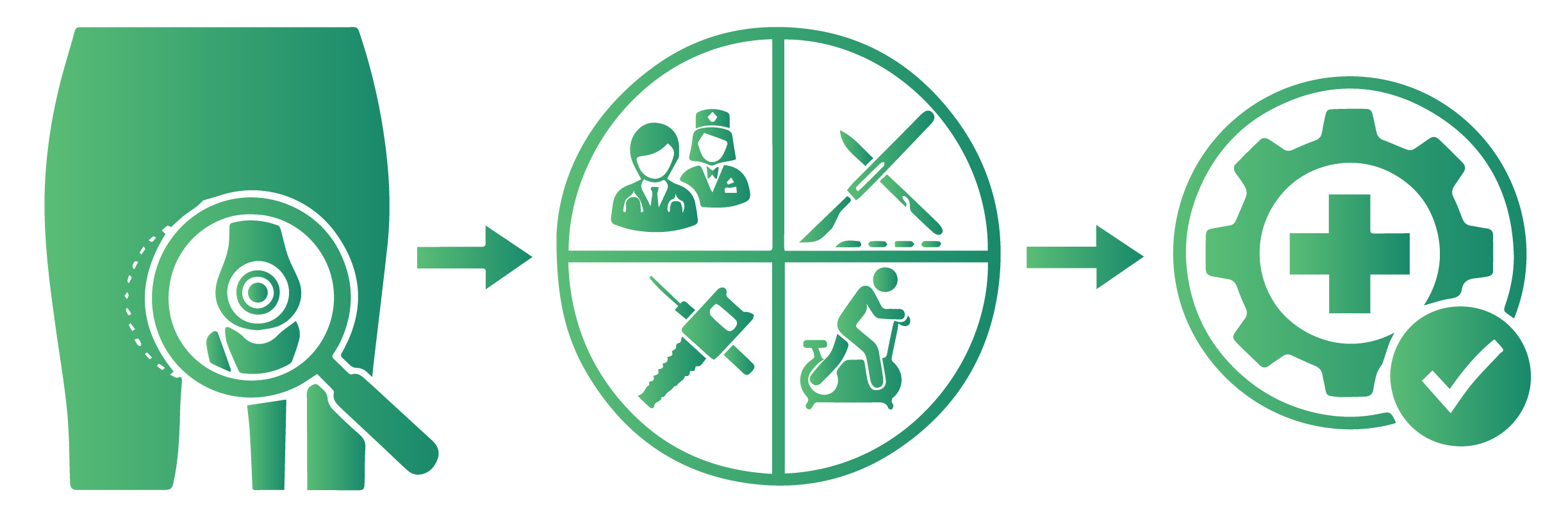 Comprehensive Surgical Treatment Plan for Hip Joint Replacement